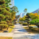 송도투데이공인중개사사무소 이미지