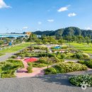 낙동강남지유채마을협동조합 | [경상남도 창녕군] 창녕낙동강유채축제