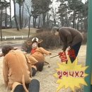 하늘숲글램핑 이미지