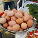 비량농원 이미지