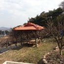 감나무집 불한증막 이미지