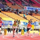 기사 '예상밖 선전' 역대최고 향해 돌진 이미지