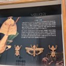 (재)한국등잔박물관 | 용인가볼만한곳 추천! 용인투어패스24로 하루 3곳 박물관 즐기기