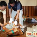 돈자루 - 제주시 월랑로10길 22 | 돈자루