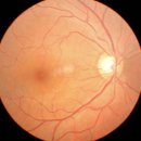 THE(더) 안경원 이미지