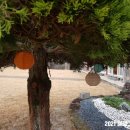 제주 불탑사 오층석탑 이미지