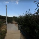 금오2농장 이미지