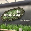 제주애단비애월 민박 | 2025.05.21(수)~23(금) 전투팟우먼스 제주여행🏝