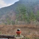 금강송면사무소 이미지