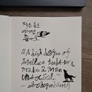 영어 캘리그라피 이미지