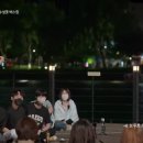 허니비파트너스