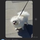 이룸독트레이닝 이미지