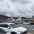 강구시장 | 영덕 강구 전통시장 방문기 (강구농협 하나로마트 - 강구 어시장)