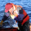 대포항식당 이미지