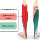 빛나는 휘트니스 이미지
