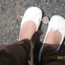 신일유토빌(아) 이미지