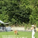 폴짝하우스 이미지