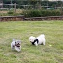 공존의 행복 이미지