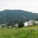 전원펜션