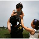 태백목장 이미지