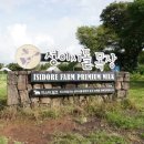 지은목장 | 제주 서쪽 여행 성이시돌목장 우유부단 우유 아이스크림 후기
