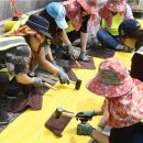 옐로카펫 이미지