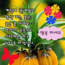아름다운선택 이미지