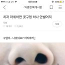메이플치과 이미지