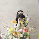 사평대로57길 57 이미지