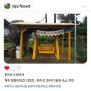 제주도 강아지 동반 숙소 추천 : 제주 댕댕이파크 리조트 후기