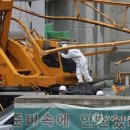 타워크레인연합 이미지