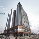 오피주 Daum카페