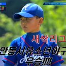 대전드림유소년야구단