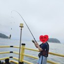 설리어촌체험휴양마을 이미지