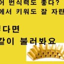 햇빛좋은피티
