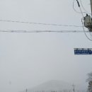 송산퇴비 네이버블로그