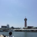 현생에서 도망치기 위해 떠난 후쿠오카 _ 시카노시마 | 텐진