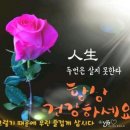 서로지을 이미지