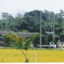 소성 게이트볼장 이미지