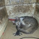 이순이농장 이미지