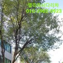 세븐일레븐 일곡한일점 이미지