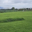 갯골생태공원(인포센터) | [시흥]산책하기 좋은 갯골생태공원