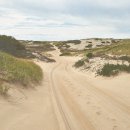 동강의 향기 이미지