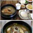 참옻닭 이미지
