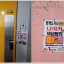 대성전단지