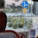 애월 어떤날 이미지