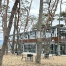 로스터리랩나무 | 춘천 소울로스터리 카페 옥수수라떼 주차후기 임산부의 서울근교 힐링 태교 여행
