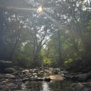 화양황토빌리지 이미지