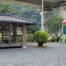 돌고래풀하우스 이미지