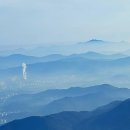 일세정한의원 | 보이차에 반한 날